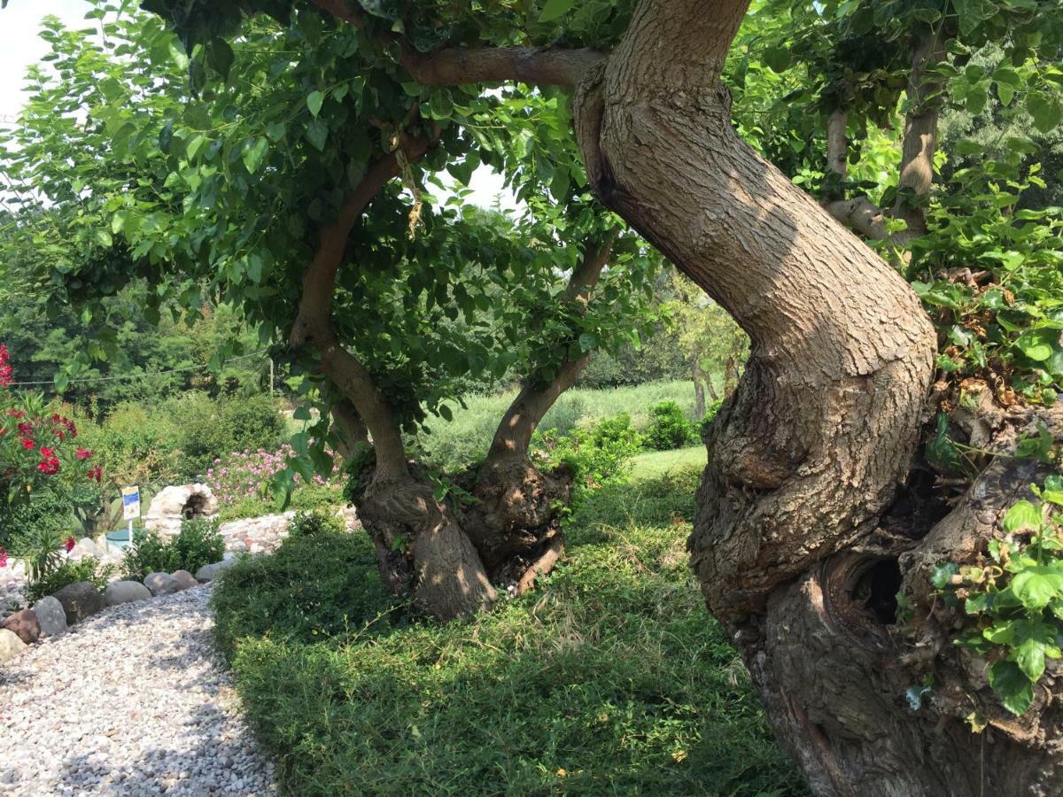 Casal Del Pigno Peschiera del Garda