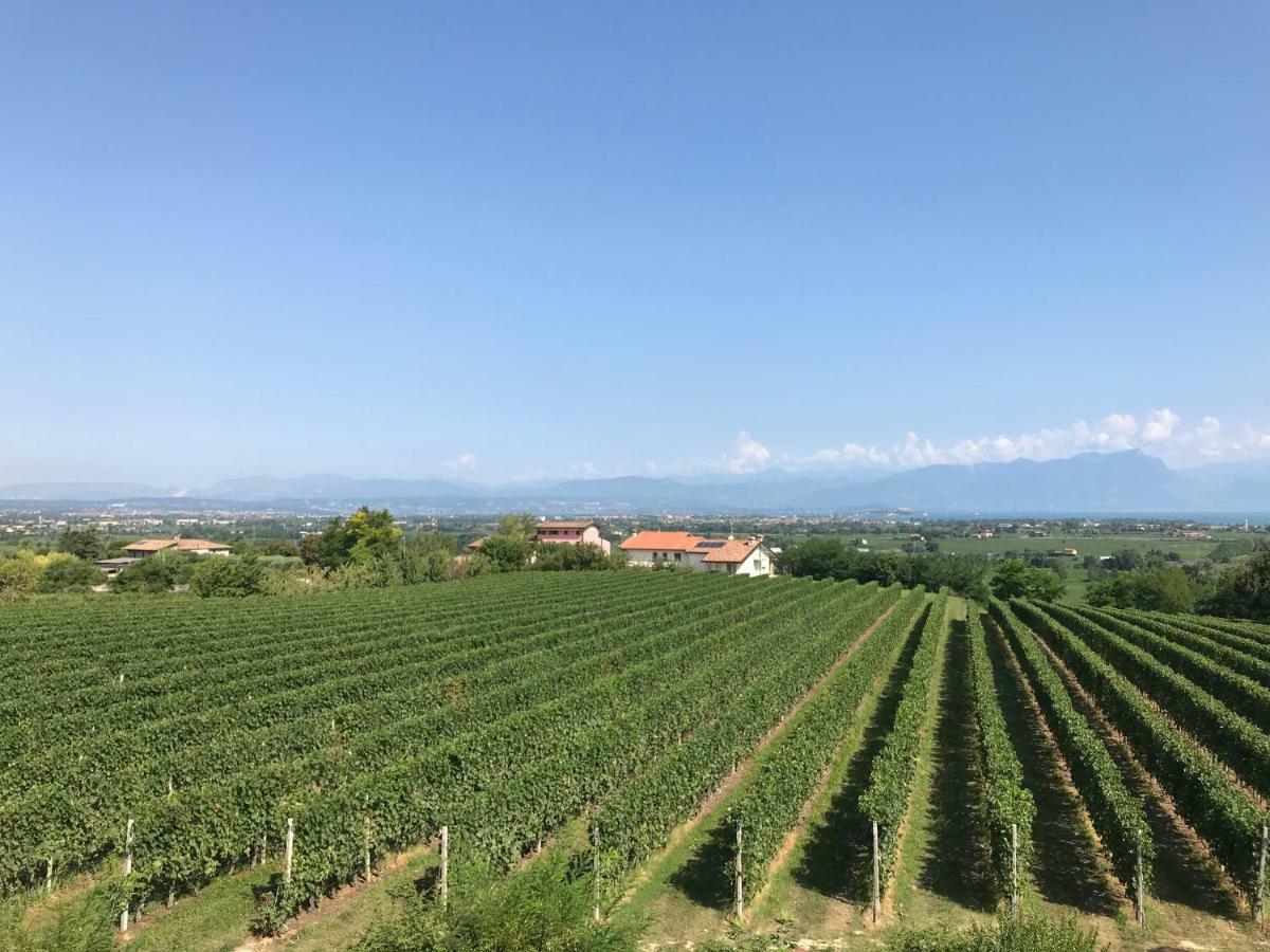 Guest house Casal Del Pigno *